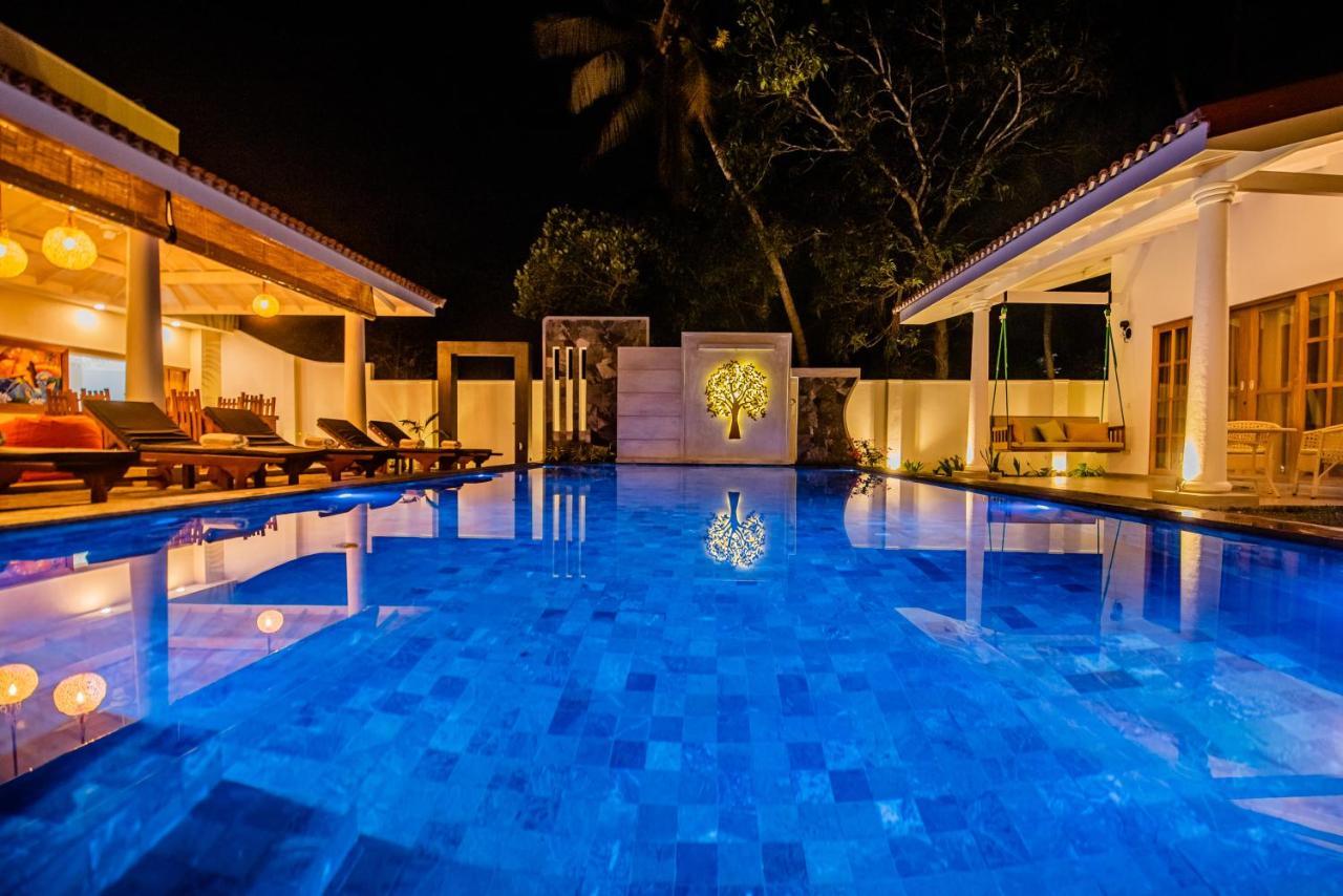 Tree Of Life Resort เบนโตตา ภายนอก รูปภาพ